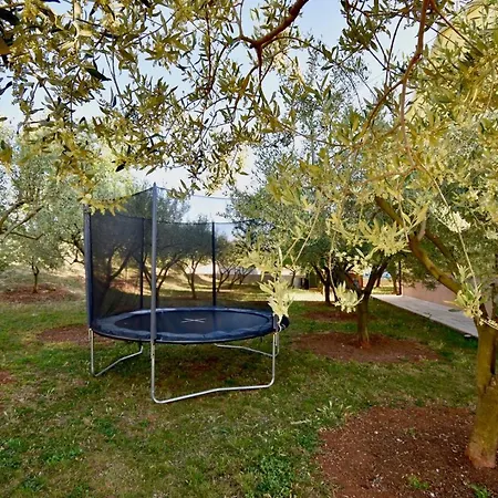 Delightful New Holiday With Grill And Trampoline *