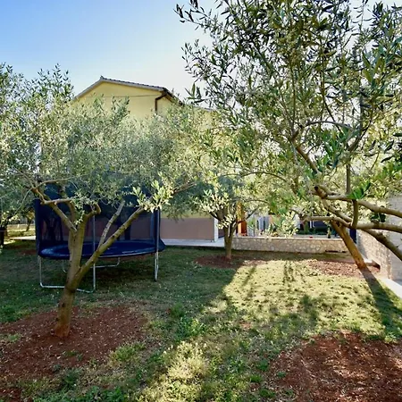 Delightful New Holiday With Grill And Trampoline Appartamento